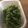 クックZ8J4H4☆'s cooksnap of when they made すぐできるピーマンのおかか和え.