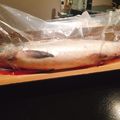 クック5959's cooksnap of when they made 【基本】鮭の捌き方.