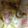 ma___111's cooksnap of when they made 春人参の卵サラダ.
