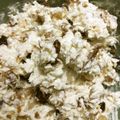 sakutakuhitoshu's cooksnap of when they made ラム酒香る クリームチーズのディップ.