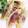 ソネチコ's cooksnap of when they made みょうがの天ぷら.