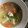 猫のミイヤ's cooksnap of when they made 石狩煮風ごろごろ野菜のおみそ汁.
