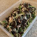 PARNELL's cooksnap of when they made 【作り置き】ヒジキの生姜ドレサラダ.
