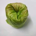 みぽぴぽ's cooksnap of when they made 楊枝いらずのロールキャベツの簡単な巻き方.