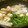 おはなすき's cooksnap of when they made ぽっかぽか☆手羽もとと大根のスタミナ鍋.