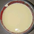 ちひゃん2525's cooksnap of when they made 凍らせて★プリンアイス.