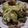 慎＆祐ママ's cooksnap of when they made 春キャベツとあさりの蒸し煮.