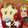 よこちよちこ's cooksnap of when they made キャラ弁♪スーパーマリオ★スーパースター.