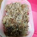 猫まんま☆'s cooksnap of when they made じゃことコンニャクの炒め煮.