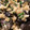 クックQC622G☆'s cooksnap of when they made なす煮浸し 簡単めんつゆ.