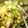 MicaN118's cooksnap of when they made ゆで白菜の胡麻酢和え.