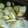 食慾旺盛's cooksnap of when they made エリンギとパセリのガーリック炒め.
