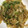 クックUAZ9M8☆'s cooksnap of when they made 【簡単】豆苗卵炒め（5分）.
