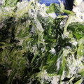 ひなたんママ＠★☆'s cooksnap of when they made 簡単☆ほうれん草のカッテージチーズ和え♪.