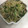 キャップとラム's cooksnap of when they made 水菜とモヤシのおかか和え.