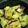 クック7FNN0F☆'s cooksnap of when they made 簡単☆大学芋.