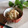 愛じゃな～い？'s cooksnap of when they made もやしとお揚げのさっと煮.