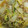 クックRBGCGA☆'s cooksnap of when they made 白菜の消費に！簡単★白菜とツナのうま煮★.