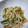 パパの手料理☆'s cooksnap of when they made もやしと油揚げのすりゴマサラダ.