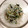 caruga's cooksnap of when they made みょうがと大葉のしらす和え.