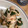 ナガレダイ's cooksnap of when they made 簡単♪鶏ささみの梅和え.