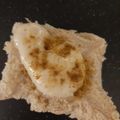 カクヨ's cooksnap of when they made カレーマヨ・トースト.