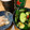 ユルゲン's cooksnap of when they made きゅうりと塩こんぶの浅漬け.