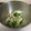 ☆こまっと☆'s cooksnap of when they made ほうれん草ともやしの磯辺和え.