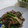 そうたっく's cooksnap of when they made 牛と小松菜の炒めもの.