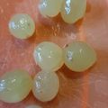 カクヨ's cooksnap of when they made 簡単♪ ぶどうの皮むき〈デラウエア〉.