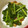 さおりん@料理特訓中's cooksnap of when they made なめこと縮みほうれん草のバター炒め.