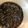 solis's cooksnap of when they made 穂紫蘇の醤油漬け 　（紫蘇の実）薄口醤油.