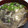 今りー's cooksnap of when they made きくらげと玉子のスープ.