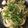 クックUAZ9M8☆'s cooksnap of when they made たまねぎと豆苗の炒め物（塩コショウ味）.