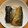 NonCook★'s cooksnap of when they made 簡単 なんちゃって、炙りしめ鯖.