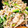 クック5WI343☆'s cooksnap of when they made 簡単!!れんこんと豚ひき肉の中華炒め♬.