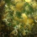 クックPX4GUB☆'s cooksnap of when they made ほうれん草とワカメのスープ.