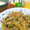 ÿuuka☆212's cooksnap of when they made 大根にら♡♥甘辛ごま豚炒め.