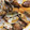 クックMXTTT8☆'s cooksnap of when they made 簡単 あさりの酒蒸し.