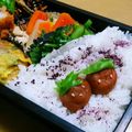 クックI7I5L1☆'s cooksnap of when they made お弁当に！梅干しクン.
