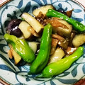 おおいり's cooksnap of when they made すぐできる！なすとザーサイの炒め物.