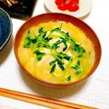 noriko♡01's cooksnap of when they made 豆苗とモヤシの胡麻味噌なべ.