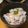 hina☆0310's cooksnap of when they made さっぱり梅のまぜご飯.