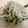 かなた！'s cooksnap of when they made なめこおろしと小松菜のおひたし.