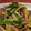 ぶんちょ♪'s cooksnap of when they made 簡単！青椒肉絲(〃⌒ー⌒〃)ゞ.