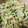 くっくーせんちょ's cooksnap of when they made もやしとエノキとキュウリのナムル.