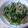 ゆみにゃむ's cooksnap of when they made 春菊と豚肉のオイスター炒め.