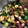 かえる王子＠音楽's cooksnap of when they made 和えるだけ～★タコと胡瓜ｄｅキムチ和え.
