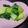 ☆RAMUママ☆'s cooksnap of when they made 旨い♪チンゲン菜のにんにく炒め.