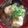 kazuki-318's cooksnap of when they made 母のすいとん.